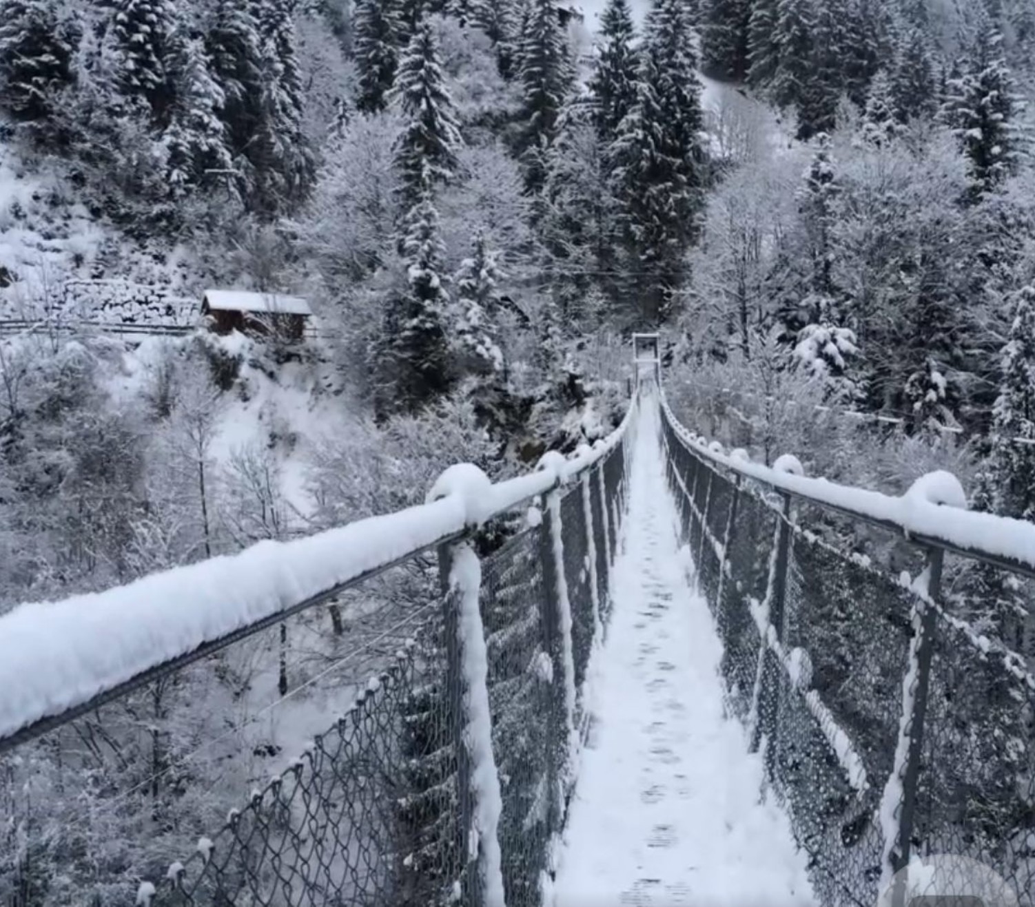 Hostalden Hängebrücke 3